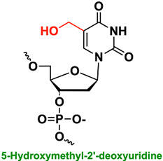 Bio-Synthesis Inc. Oligo Structure